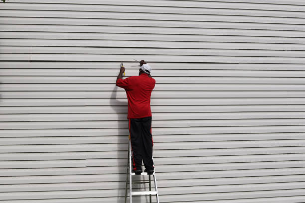 Best Custom Trim and Detailing for Siding  in Perry, IA