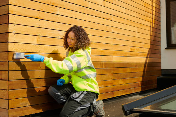 Best Brick Veneer Siding  in Perry, IA
