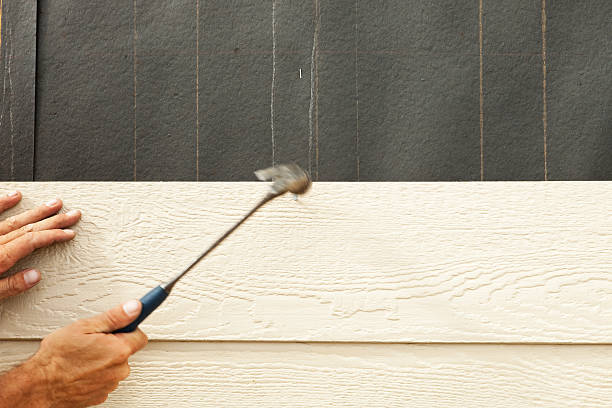 Best Stone Veneer Siding  in Perry, IA